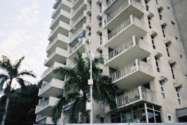 OUTDEH - The Youth of Jamaica