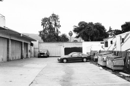 OUTDEH - The Youth of Jamaica