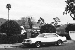 OUTDEH - The Youth of Jamaica