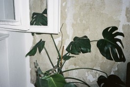 OUTDEH - The Youth of Jamaica